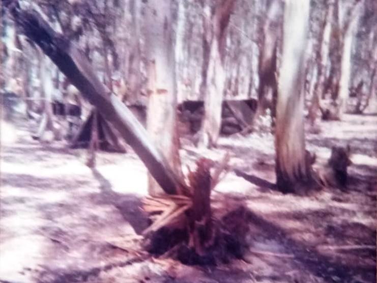 Fotos históricas - Foto 20 - Estancia Nueva Mehlem