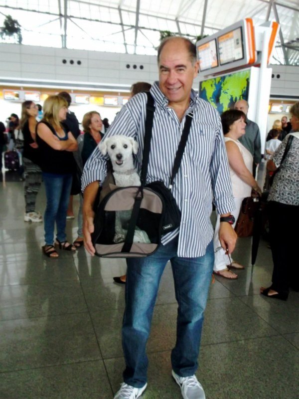 Fotos curiosas - Foto 03 - Perro sospechoso, 2015