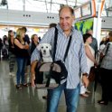 Fotos curiosas - Foto 03 - Perro sospechoso, 2015